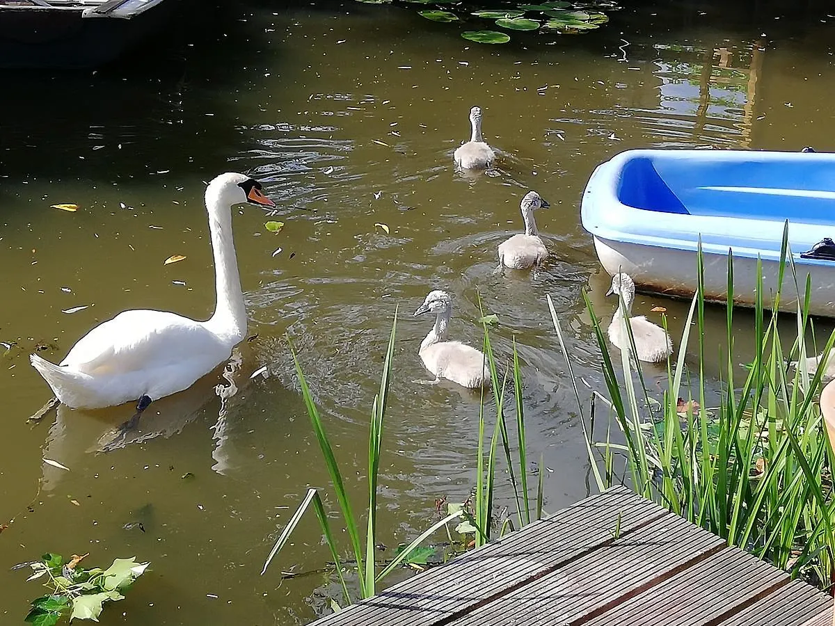 Canal Garden Apartment Staywell Amsterdam 0*,  Pays-Bas