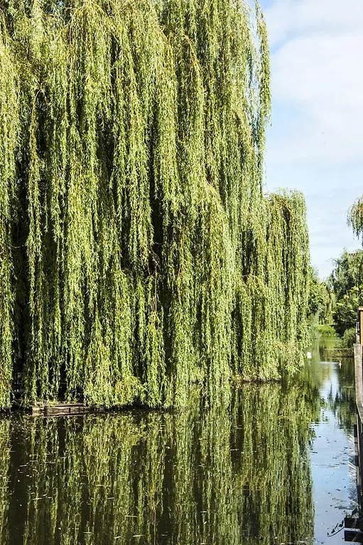 Canal Garden Apartment Staywell 阿姆斯特丹